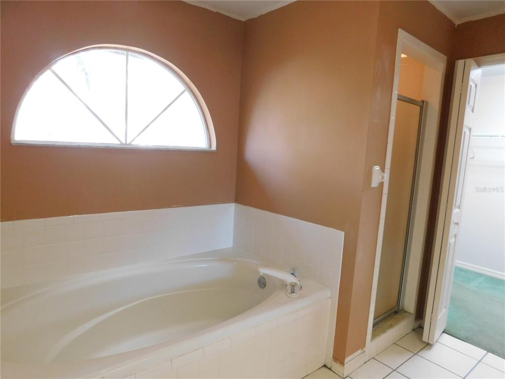 5821 Buck Run Drive Lakeland, FL 33811 - Photo 23 of 30 a white bath tub sitting next to a window