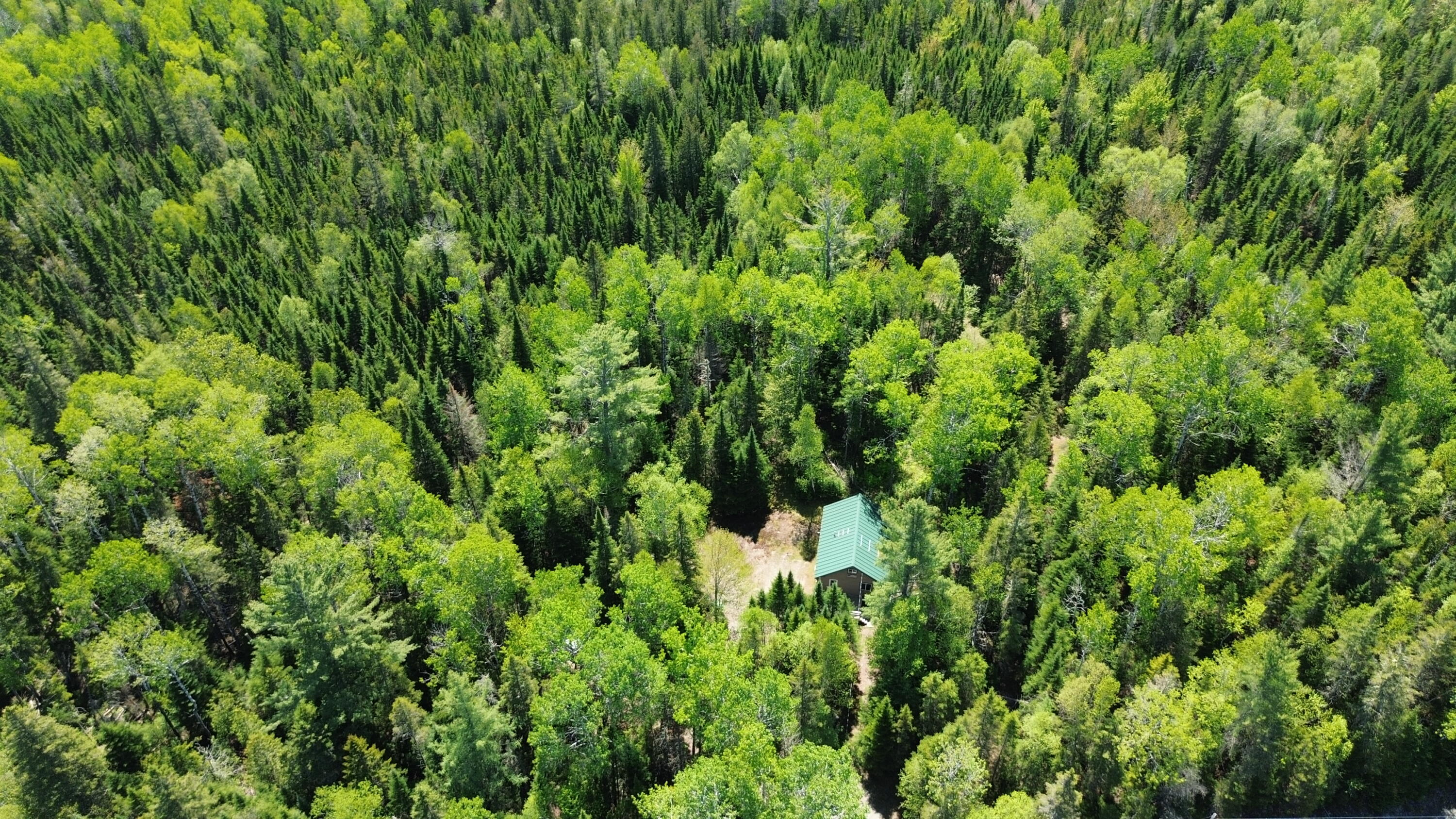 5 Pine Lane Dallas Plt, ME 04970 - Photo 22 of 23 DJI_0083