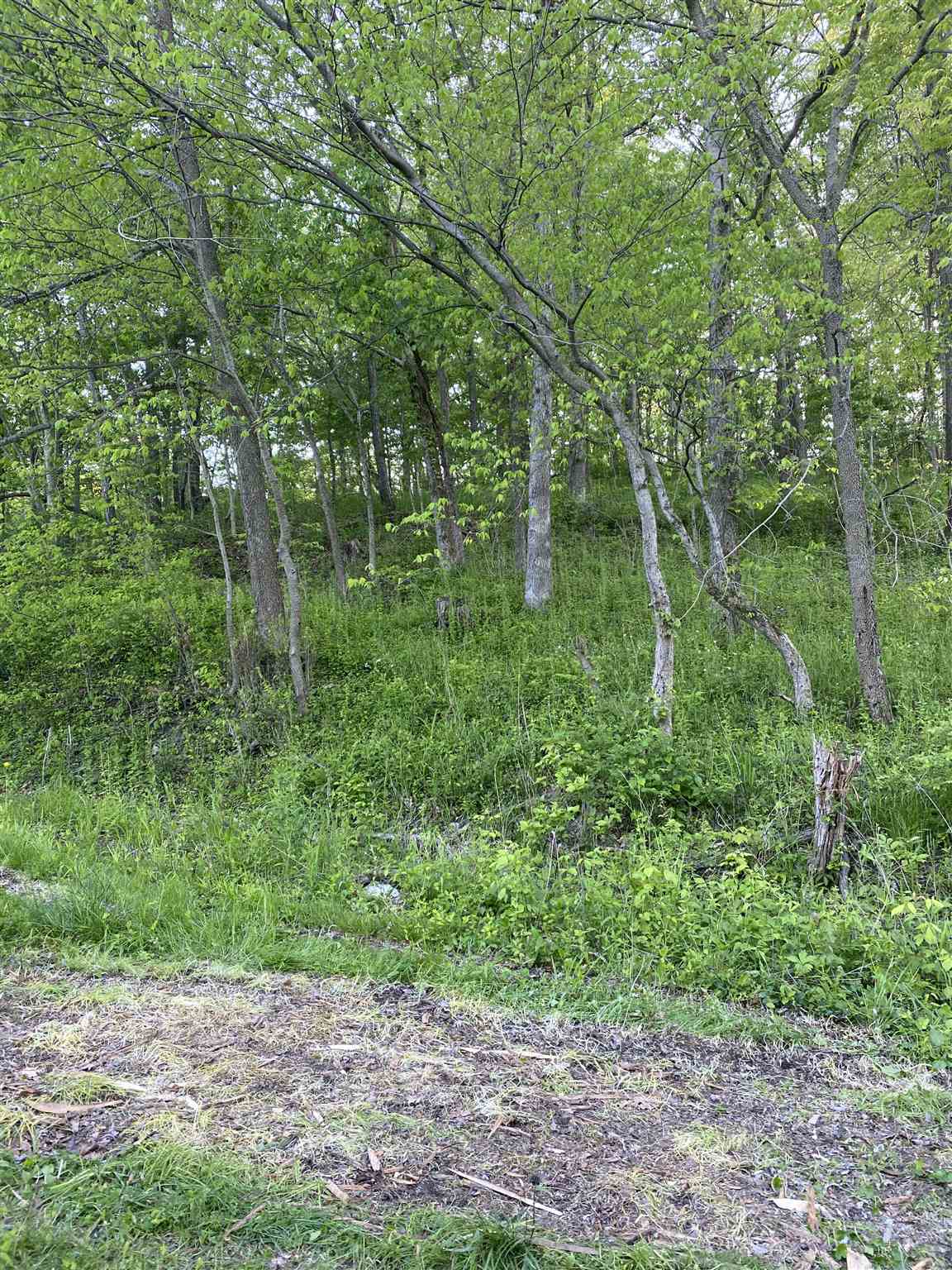 8084 Coxville Road Rosedale, IN 47874 - Photo 3 of 14 Gallery Image 3