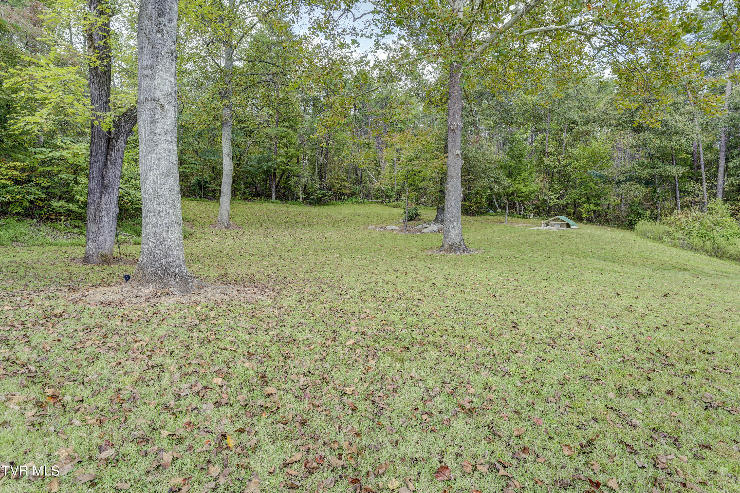 170 Kelley Gap Road Greeneville, TN 37743 - Photo 44 of 59 KellyGap-33