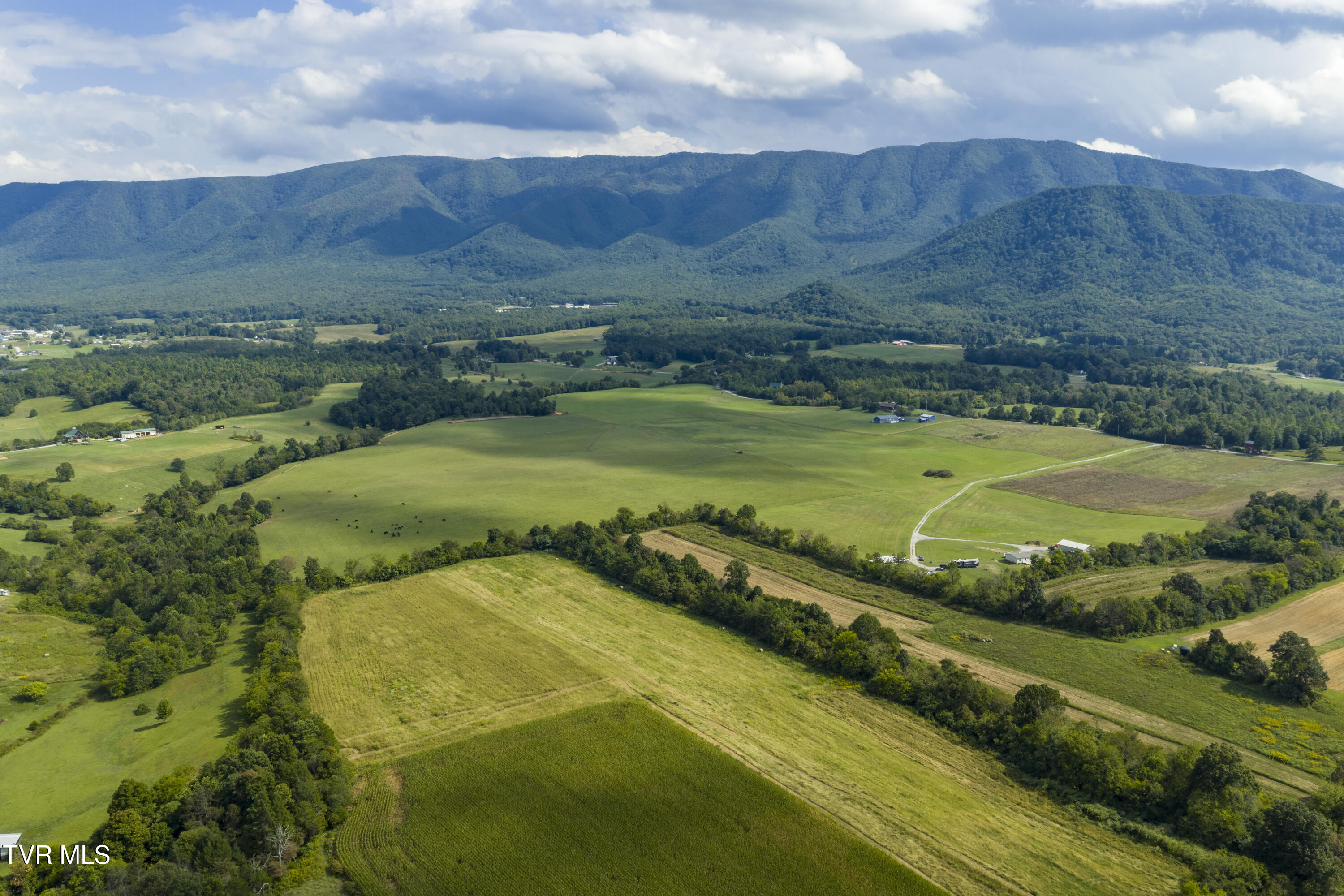 170 Kelley Gap Road Greeneville, TN 37743 - Photo 57 of 59 KellyGap-Aerials-16