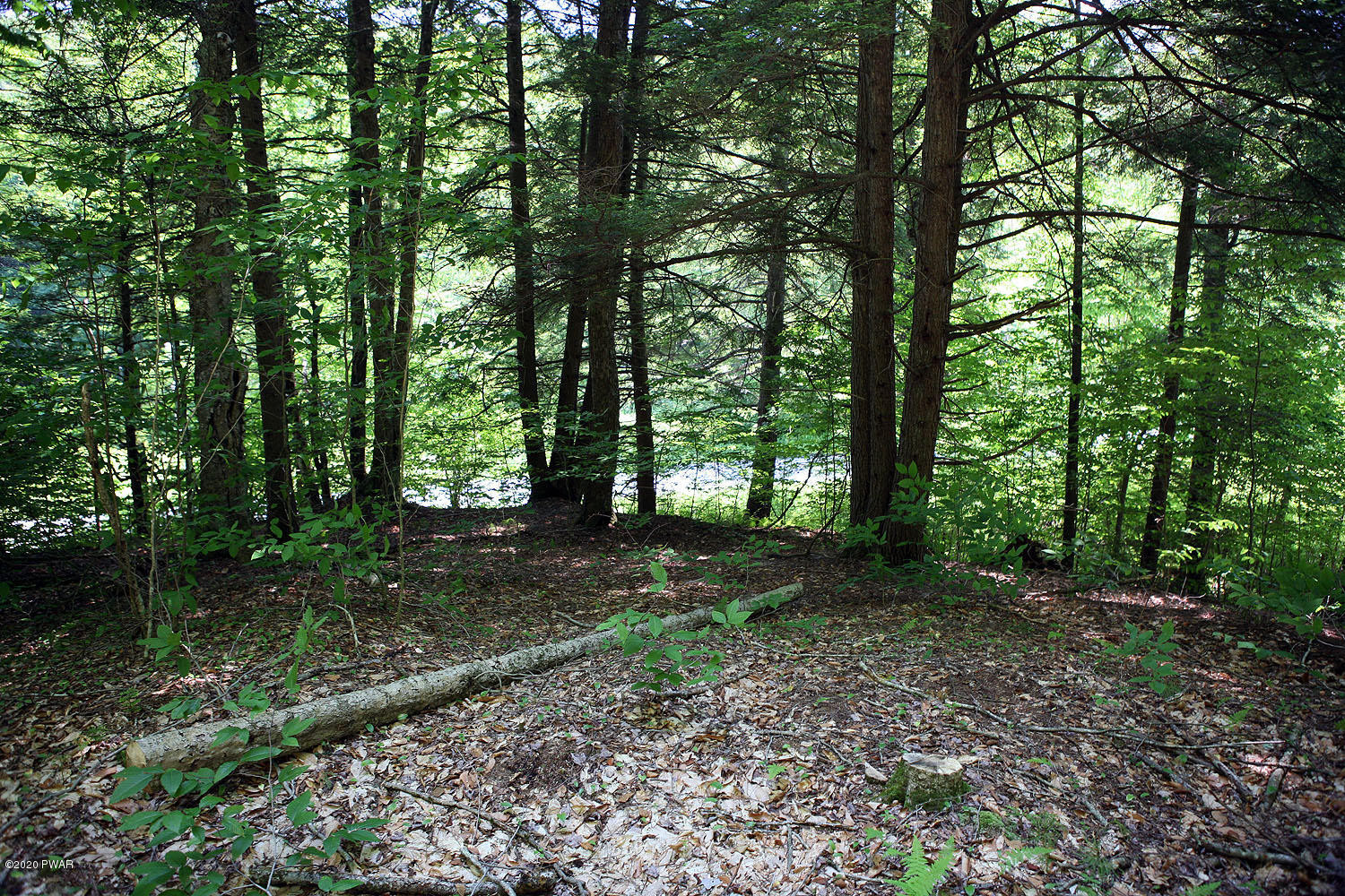 0 Braman Road Equinunk, PA 18417 - Photo 33 of 36
