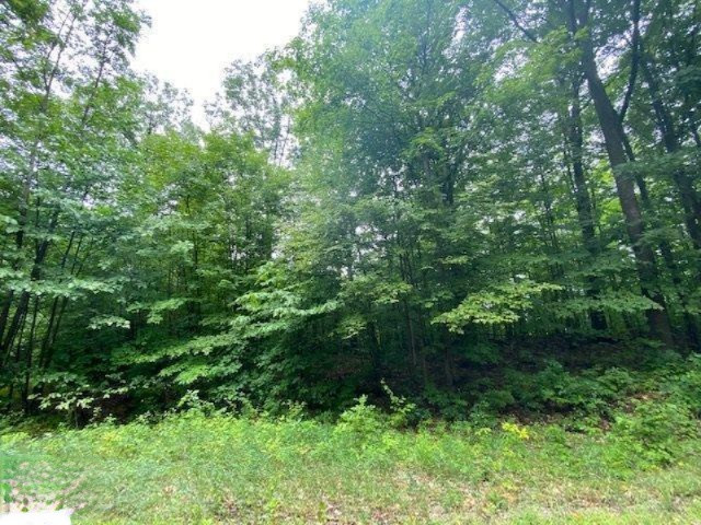 0 West Edmonds Road Lake City, MI 49651 - Photo 3 of 7 1878203-1