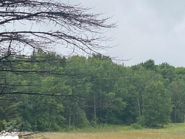 0 West Edmonds Road Lake City, MI 49651 - Photo 7 of 7 1878203-5