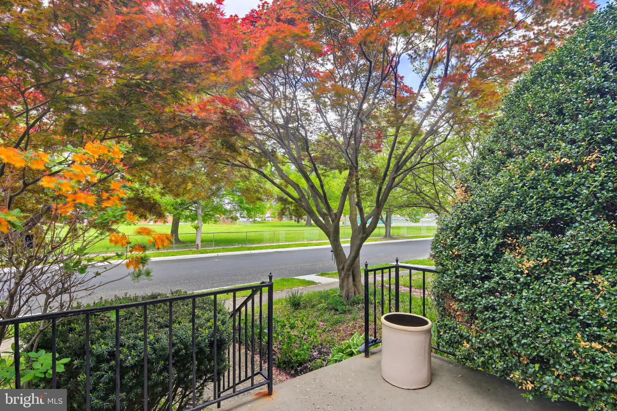 8111 Barksdale Road Baltimore, MD 21286 - Photo 29 of 39 a view of a house with large trees and plants