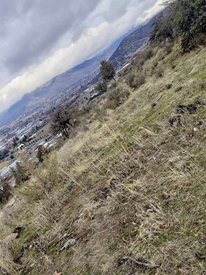 15-acres Sharps Road Yreka, CA 96097 - Photo 16 of 16 Gallery Image 16