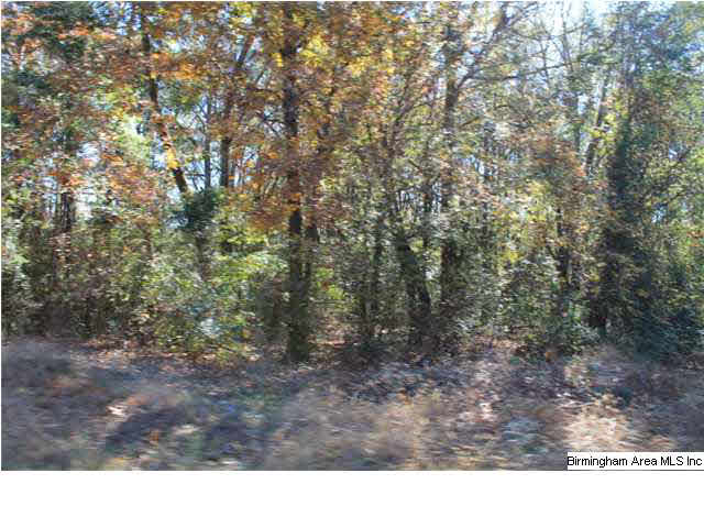 2649 Rabbit Branch Road Cropwell, AL 35054 - Photo 27 of 27