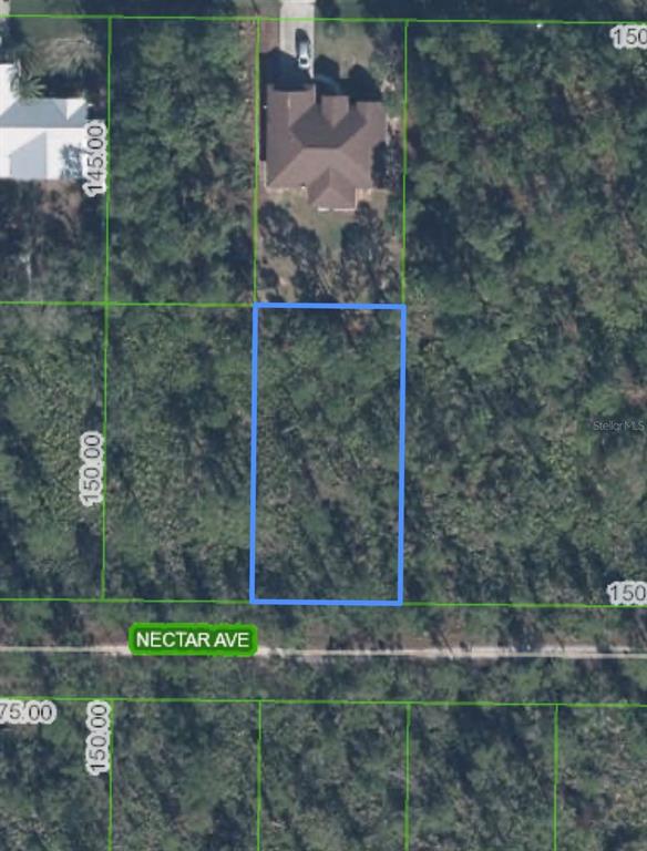 1702 Nectar Avenue Sebring, FL 33875 - Photo 1 of 3