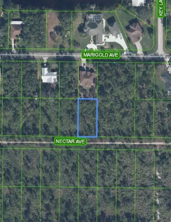 $11,000 | 1702 Nectar Avenue, Sebring, FL 33875
