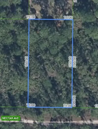 $11,000 | 1702 Nectar Avenue, Sebring, FL 33875