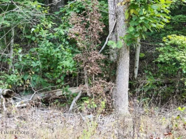 $79,900 | Lot 41 Apache Road, Jamestown, TN 38556
