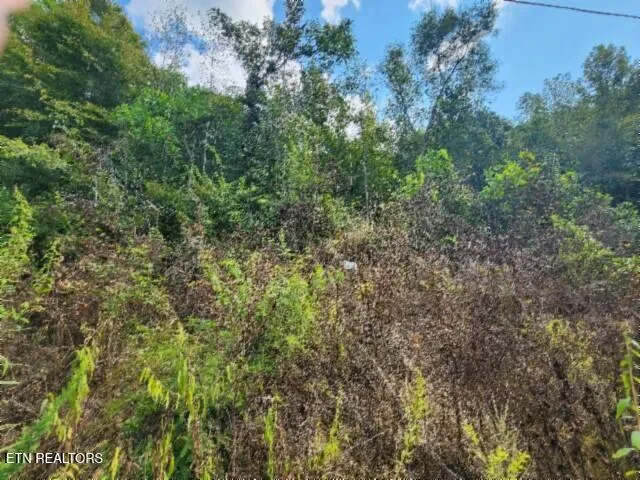 $79,900 | Lot 41 Apache Road, Jamestown, TN 38556