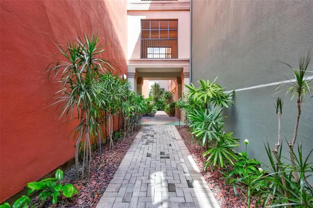 a view of a pathway with plants