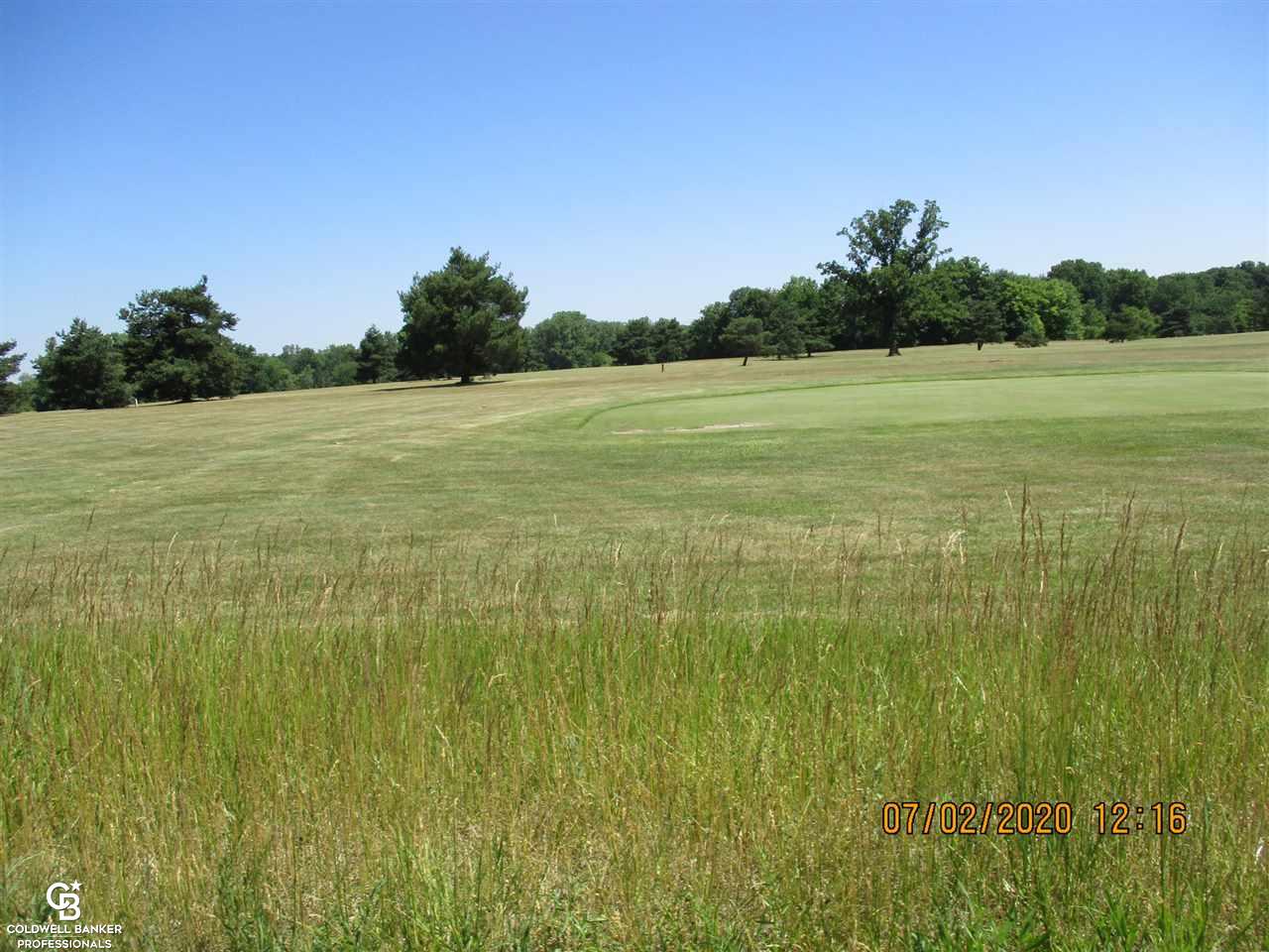 0 Belle River Road Memphis, MI 48041 - Photo 11 of 14