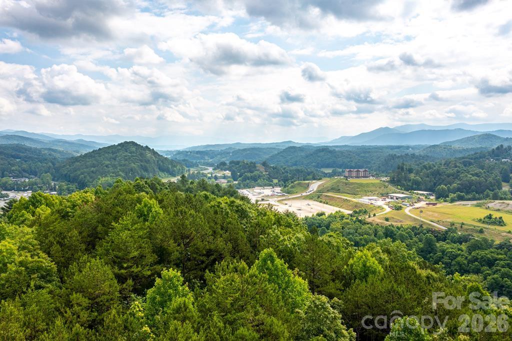 2201-2073 Andrews Road Murphy, NC 28906 - Photo 2 of 12