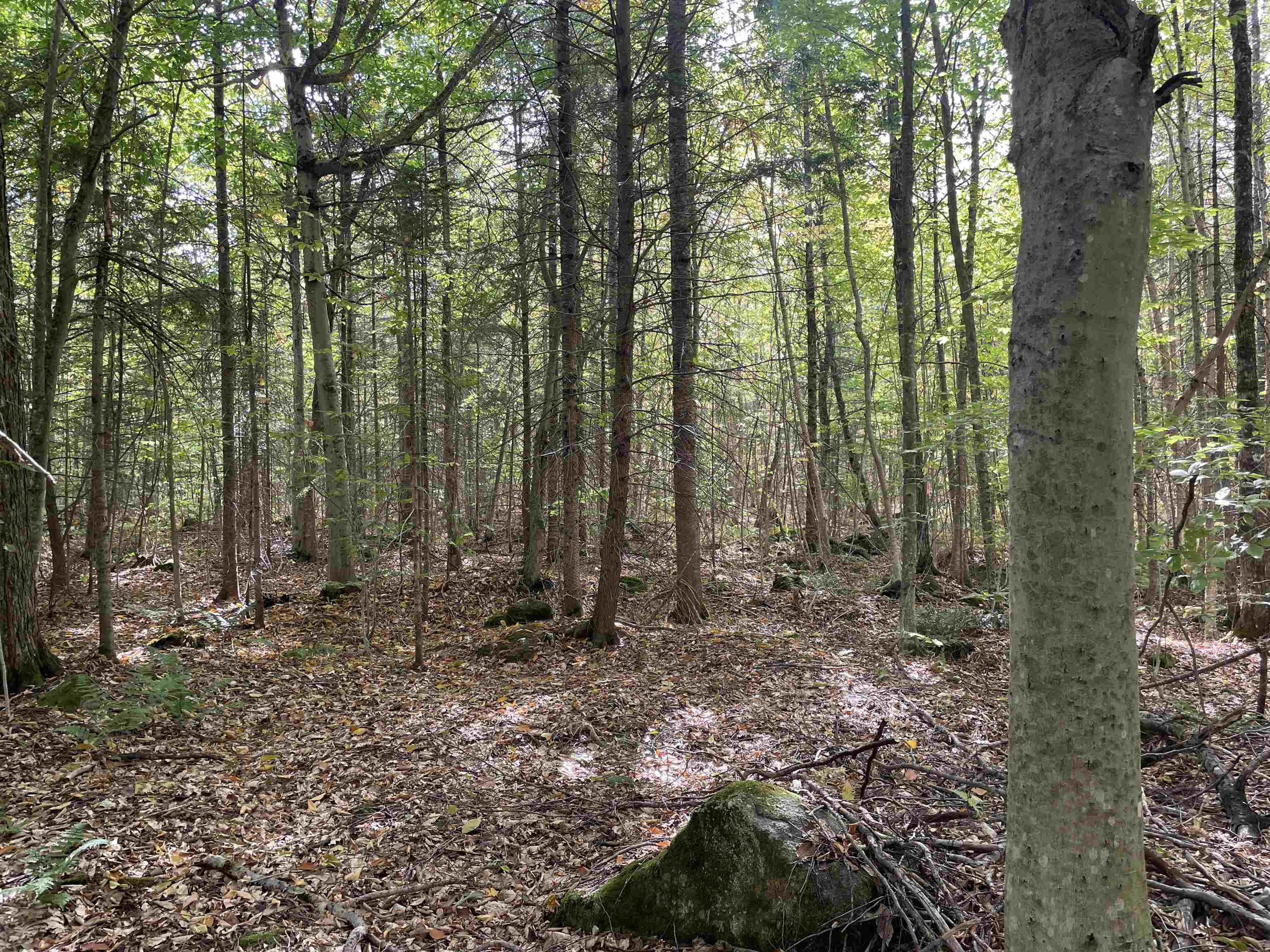 2319 East Hill Road Woodbury, VT 05658 - Photo 2 of 5