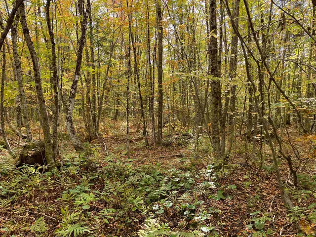 $35,000 | 2319 East Hill Road, Woodbury, VT 05658