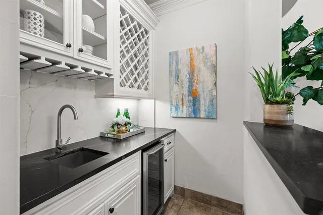 a sink a counter top space and a potted plant on it