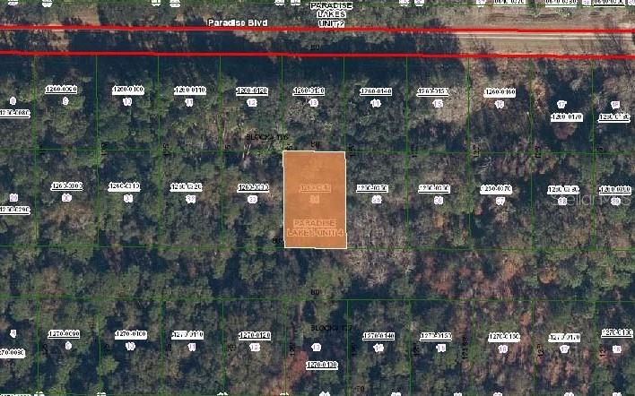 324 Edgewood Drive Georgetown, FL 32139 - Photo 2 of 3