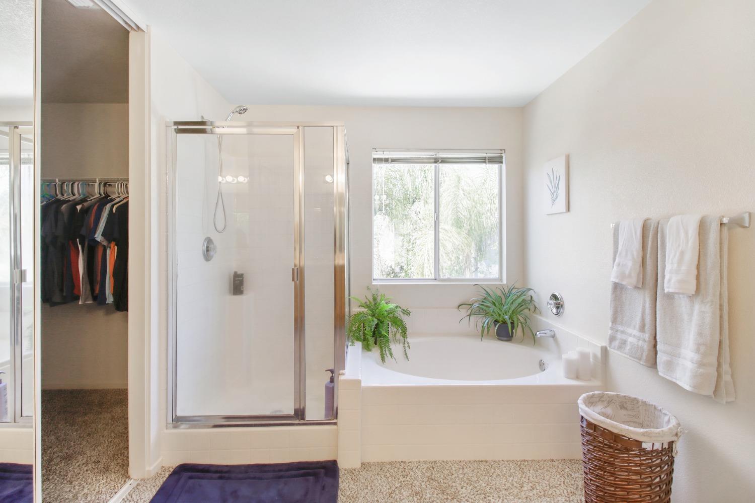 11568 Pyrites Court Gold River, CA 95670 - Photo 30 of 60 a bathroom with a bathtub and a shower