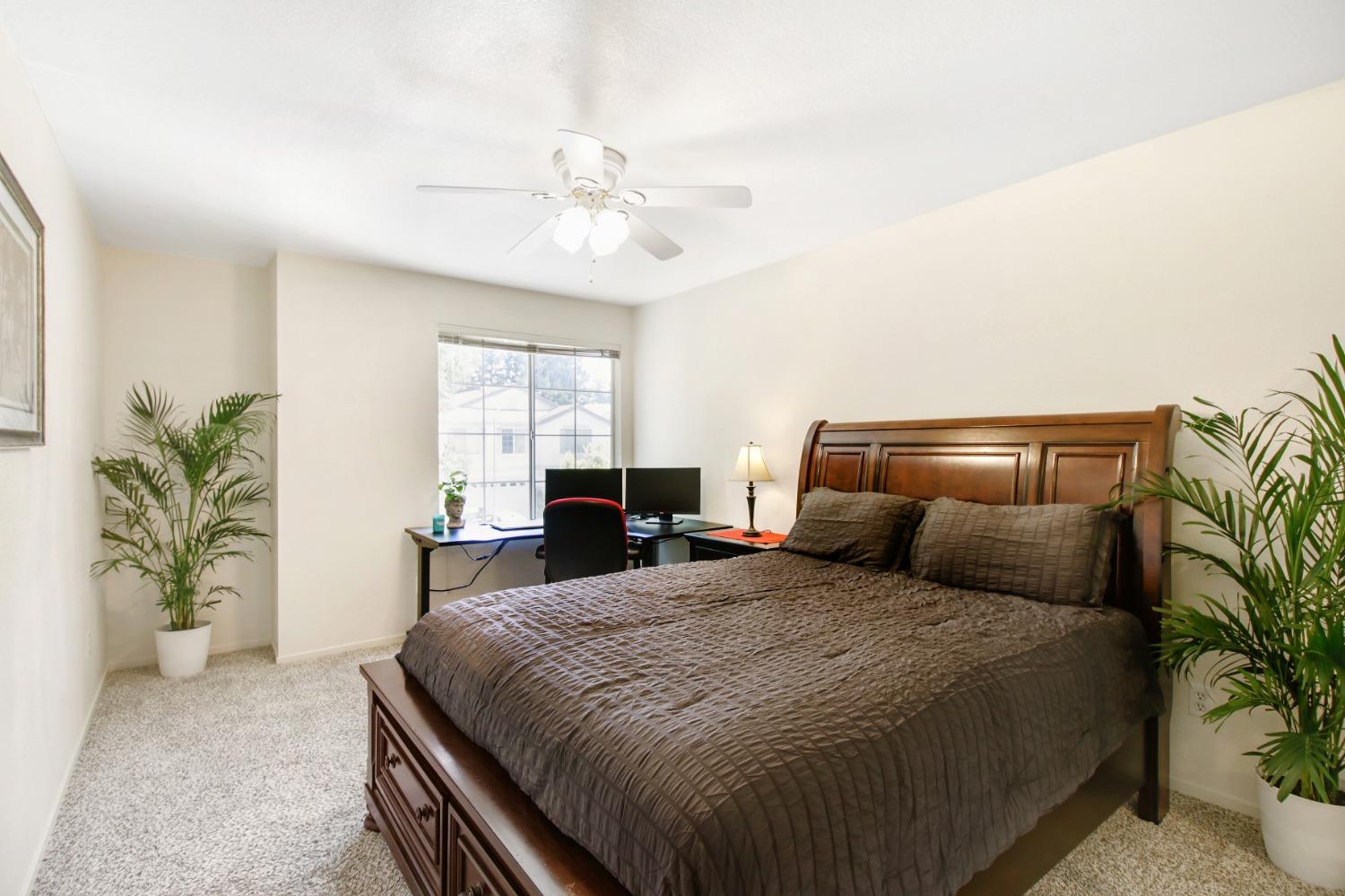 11568 Pyrites Court Gold River, CA 95670 - Photo 34 of 60 a bedroom with a large bed and potted plant