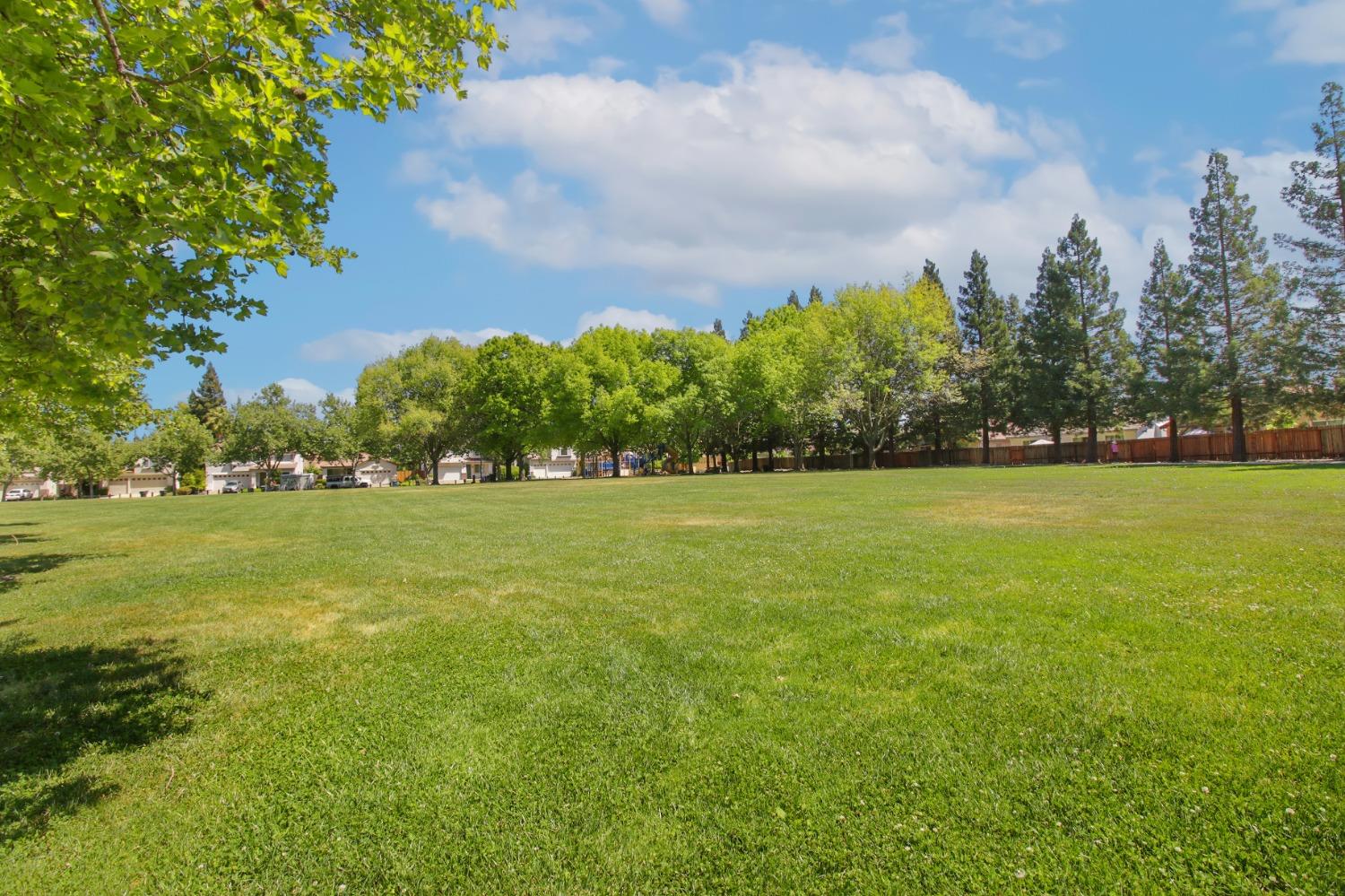 11568 Pyrites Court Gold River, CA 95670 - Photo 59 of 60 a view of outdoor space with playground and green space