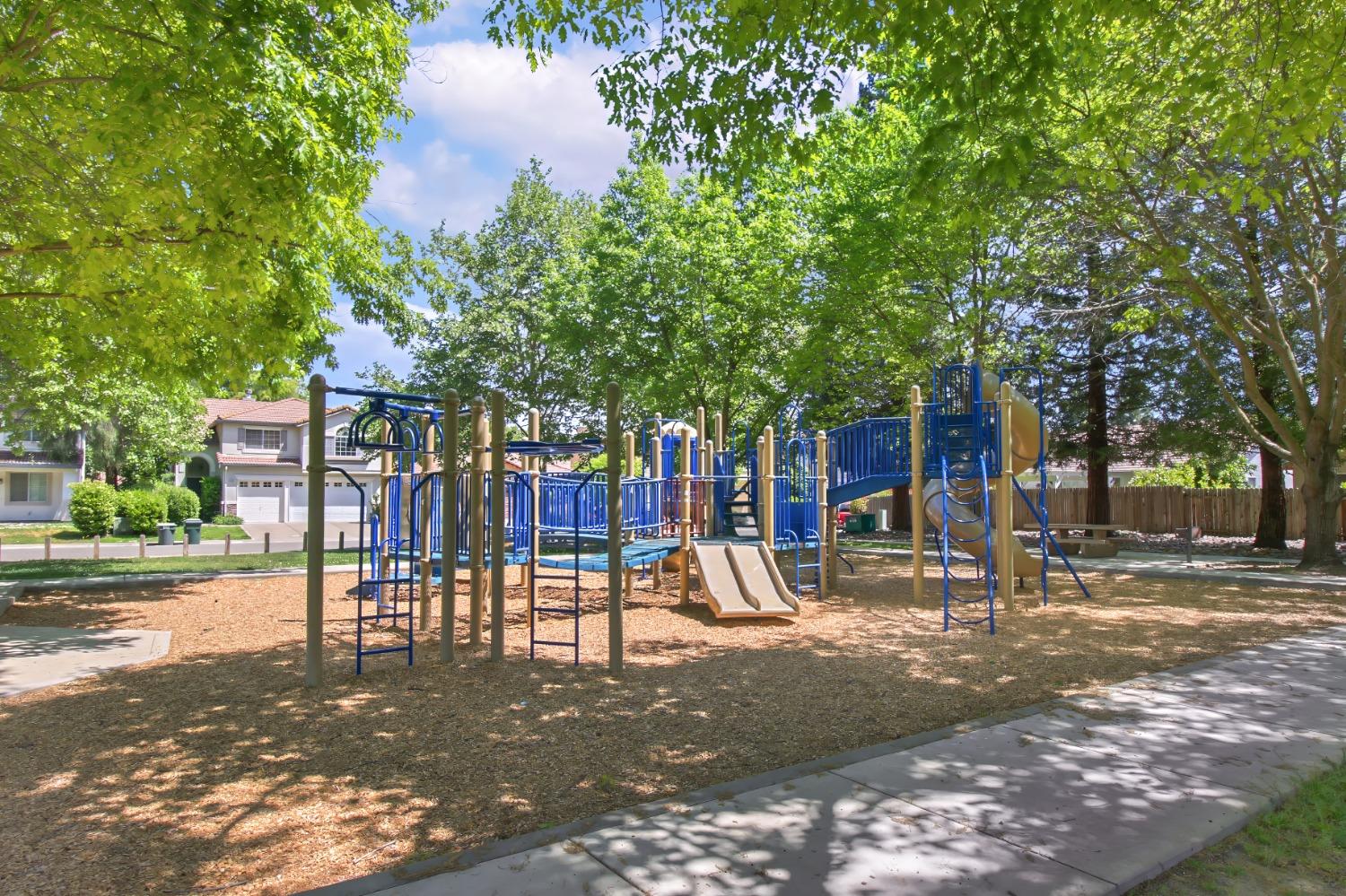 11568 Pyrites Court Gold River, CA 95670 - Photo 60 of 60