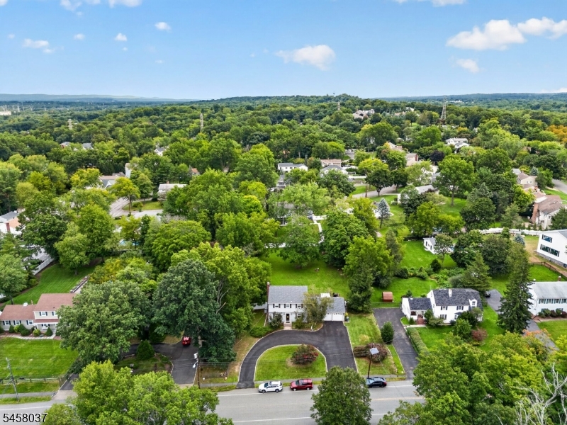 162 West Hobart Gap Road Livingston, NJ 07039 - Photo 20 of 22 Gallery Image 20