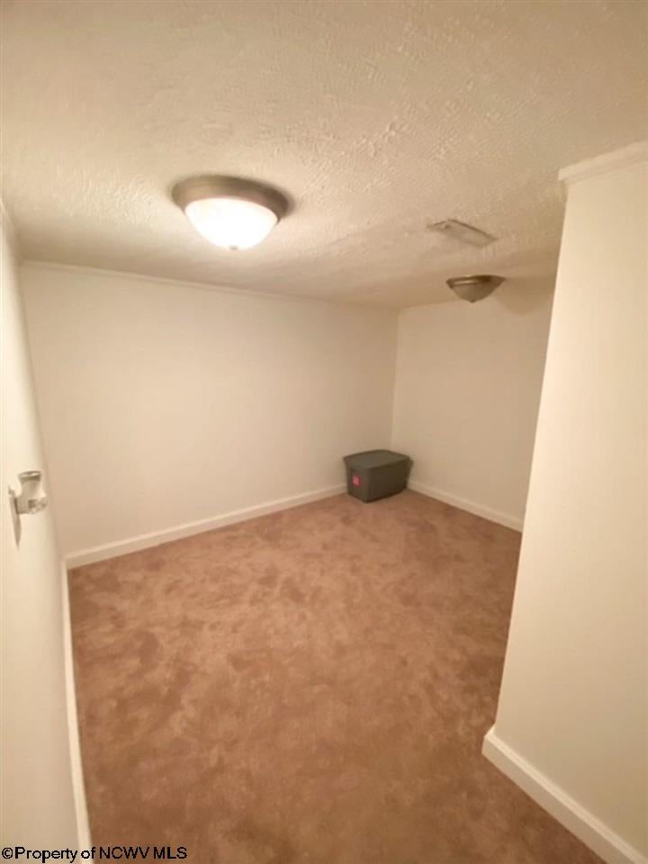 608 Suds Run Road Mount Clare, WV 26408 - Photo 24 of 28 Gallery Image 24