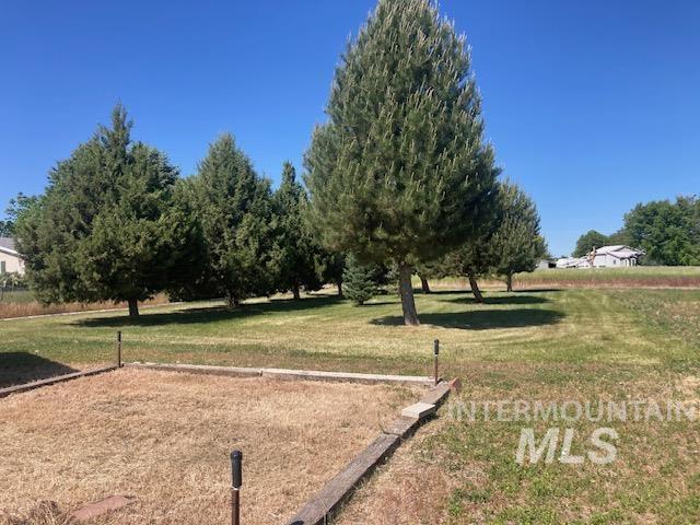 1095 County Road 70 Weiser, ID 83672 - Photo 33 of 44 Expansive outdoor space featuring a defined horseshoe pit with timber borders, mature evergreen trees, and a large grassy area