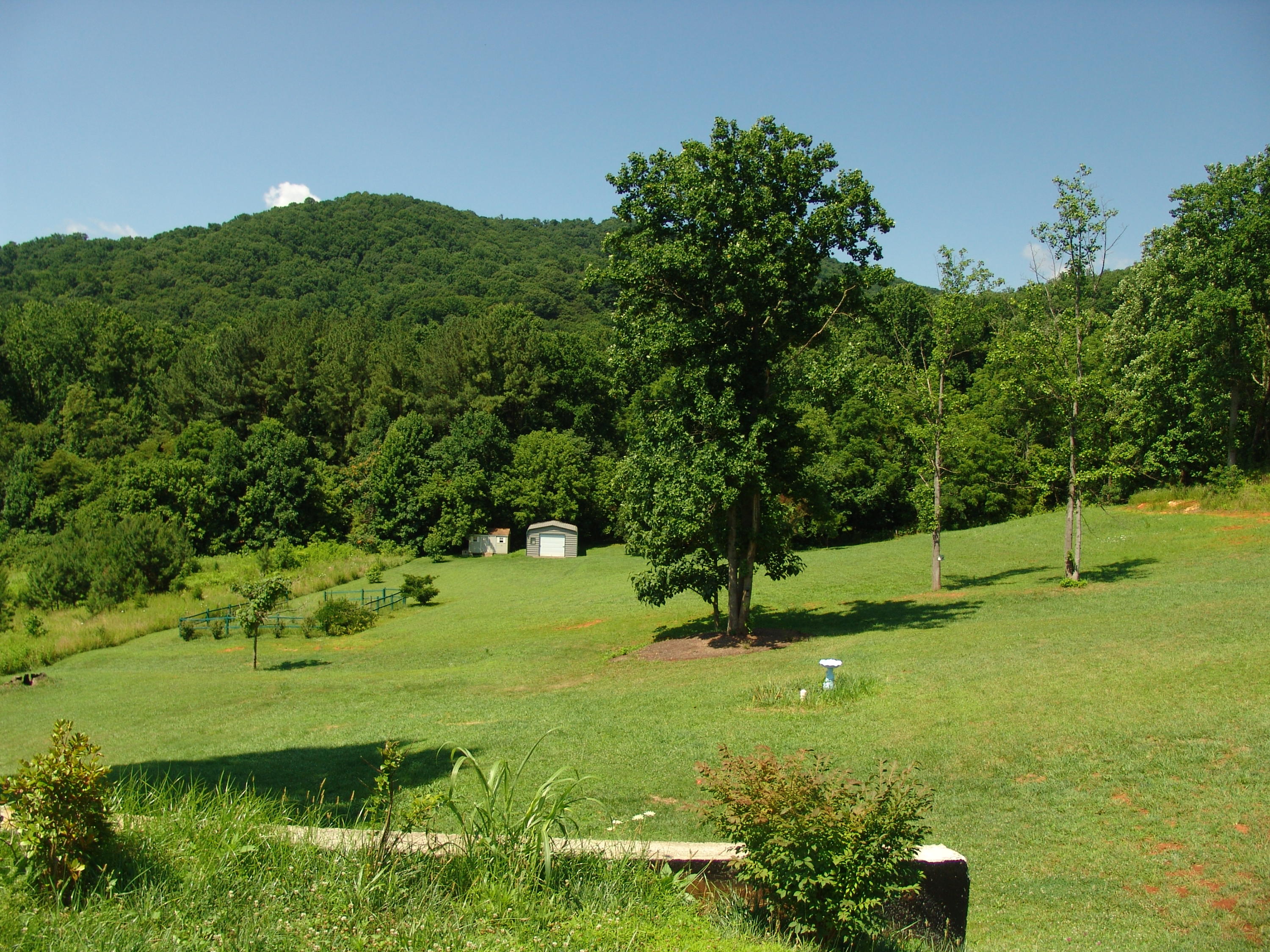 383 Valley Road Hardy, VA 24101 - Photo 3 of 56 DSC02129