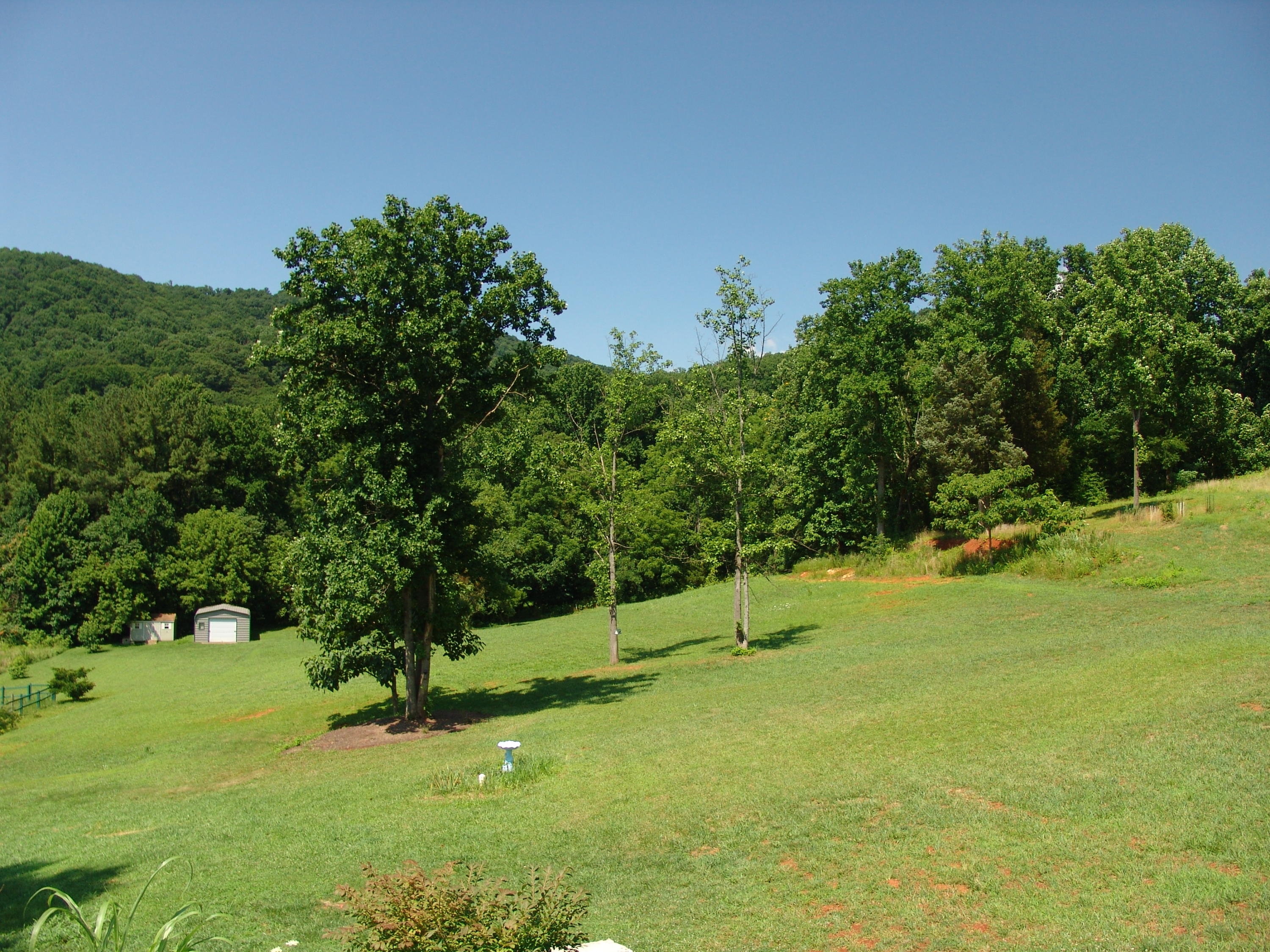 383 Valley Road Hardy, VA 24101 - Photo 5 of 56 DSC02131