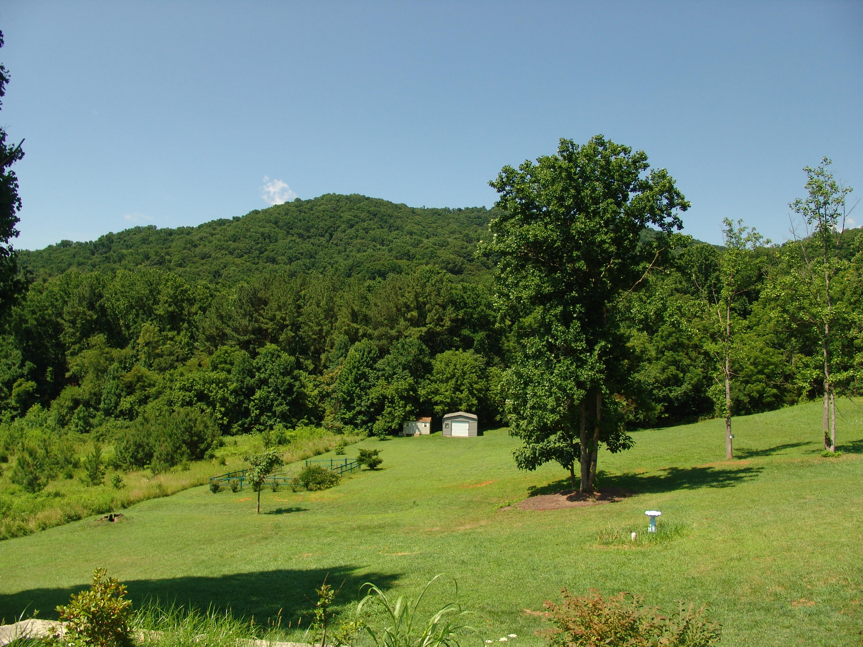 383 Valley Road Hardy, VA 24101 - Photo 6 of 56 DSC02132