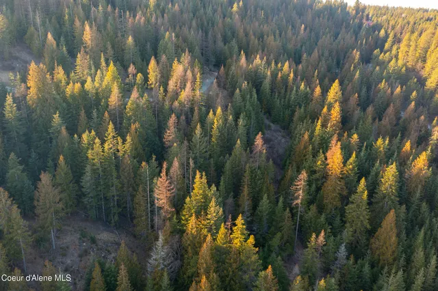 $210,000 | Nna Nna Sophie Hills, Harrison, ID 83833