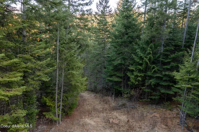 $210,000 | Nna Nna Sophie Hills, Harrison, ID 83833