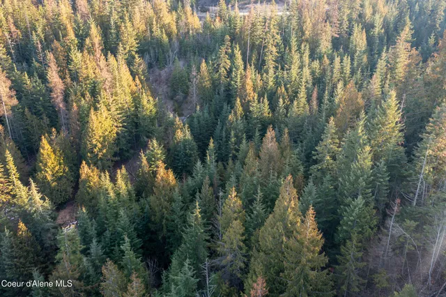 $210,000 | Nna Nna Sophie Hills, Harrison, ID 83833