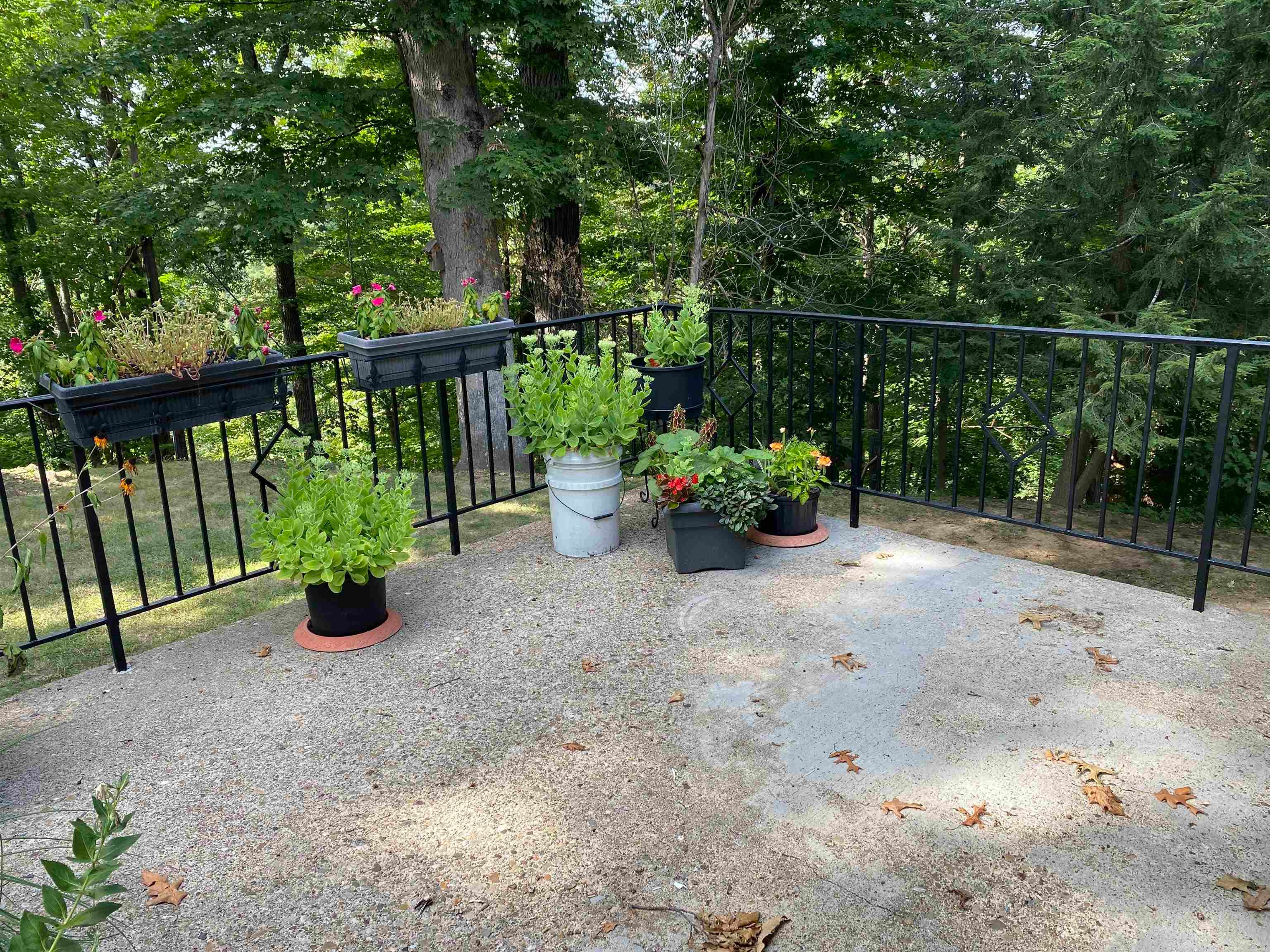 175 Rock Ridge Lane Harts, WV 25524 - Photo 9 of 31 Gallery Image 9