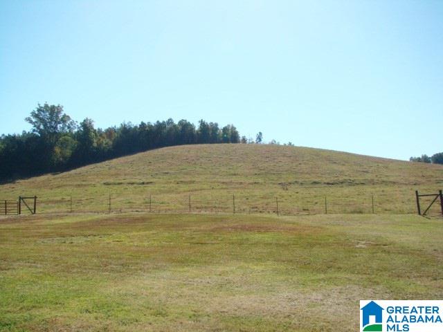 800 Brooks Lake Road Lincoln, AL 35096 - Photo 9 of 33