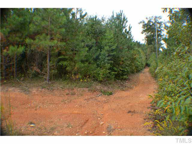 1258 Reno Sharpe Store Road Bear Creek, NC 27207 - Photo 5 of 24 Ride your horse or 4-wheeler - enjoy the great outdoors.