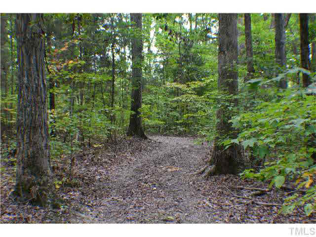 1258 Reno Sharpe Store Road Bear Creek, NC 27207 - Photo 6 of 24 64+ acres with no deed restrictions.