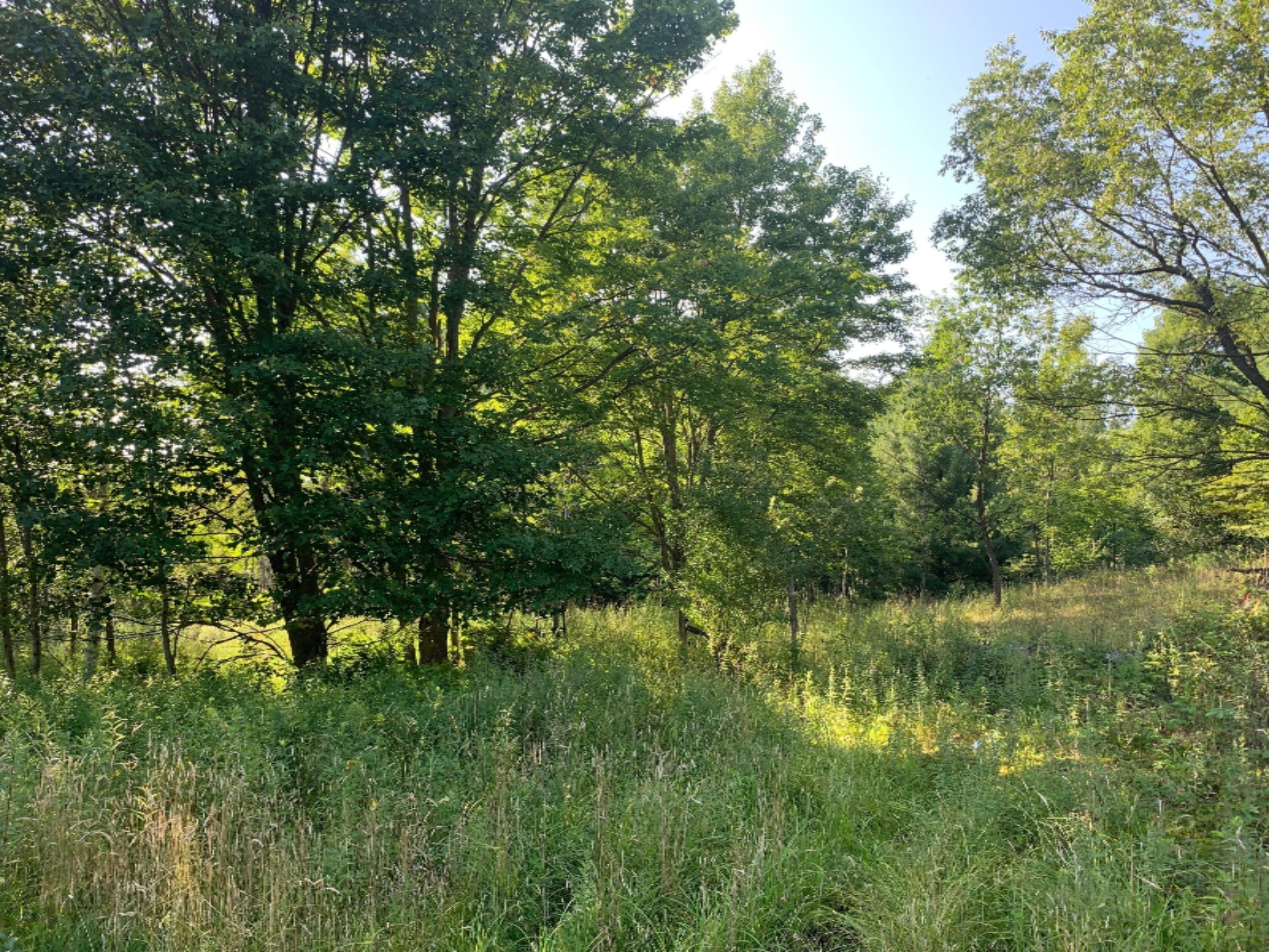 6342 North Raymond Road Tustin, MI 49688 - Photo 91 of 101 Acreage 8