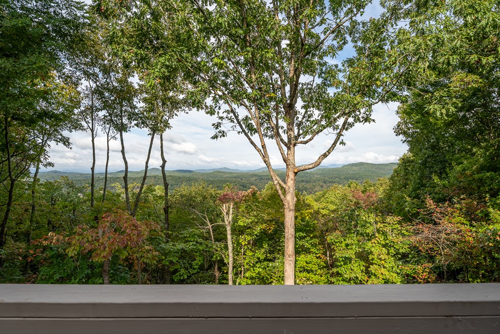 175 Oak Ledge Road Morganton, GA 30560 - Photo 54 of 62