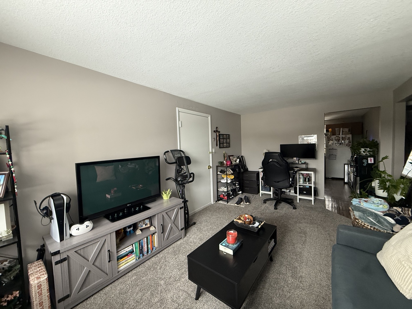 382 North Birch Street Manteno, IL 60950 - Photo 11 of 15 a living room with furniture and a flat screen tv