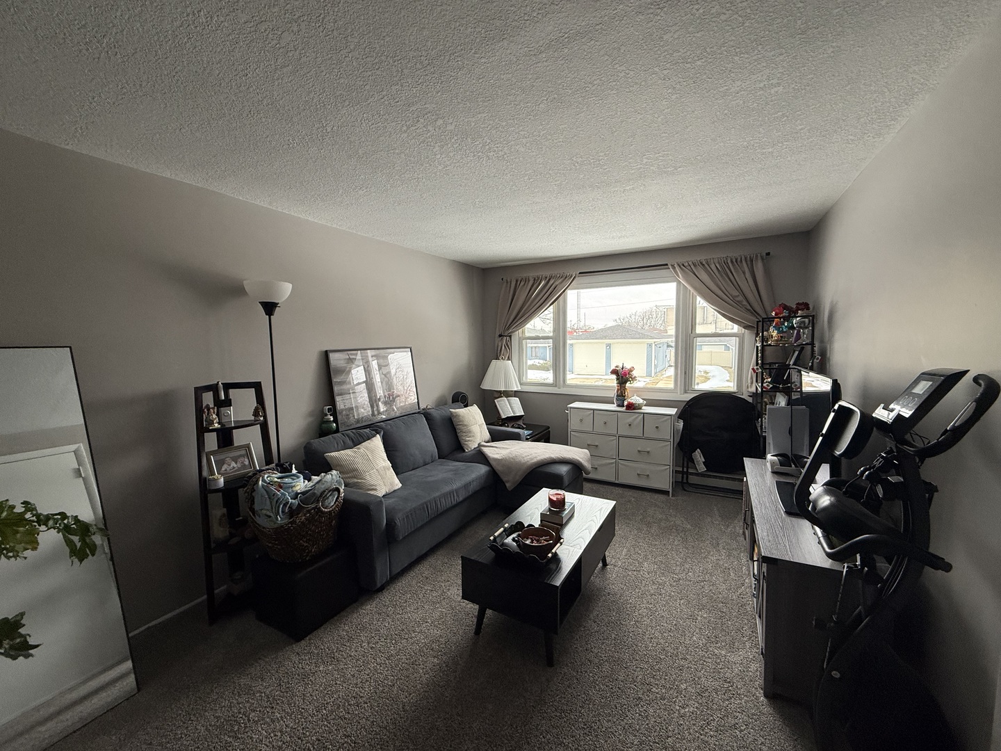 382 North Birch Street Manteno, IL 60950 - Photo 12 of 15 a living room with furniture hard wood floor and a window