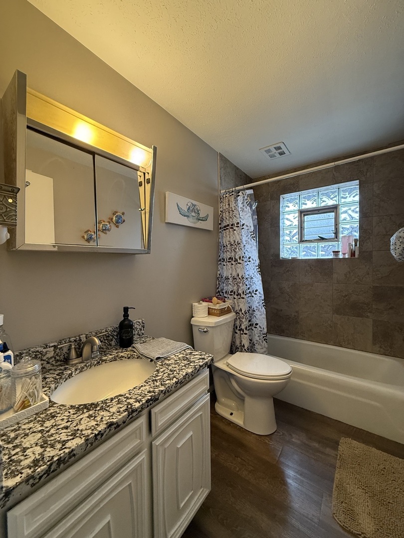 382 North Birch Street Manteno, IL 60950 - Photo 9 of 15 a bathroom with a granite countertop toilet sink and mirror