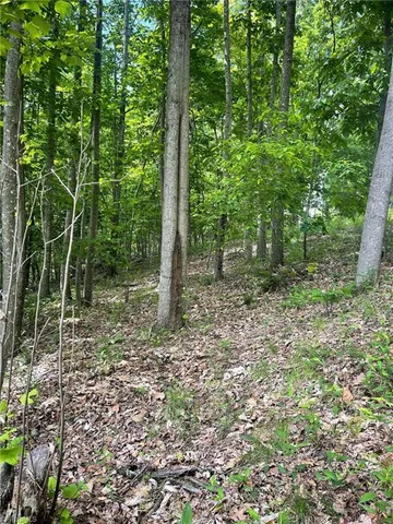 $87,900 | Lot 15 Dogwood Road, Moravian Falls, NC 28654