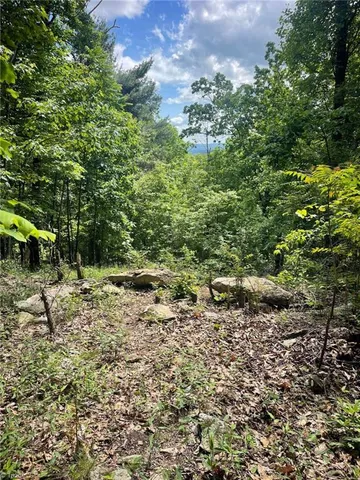 $87,900 | Lot 15 Dogwood Road, Moravian Falls, NC 28654