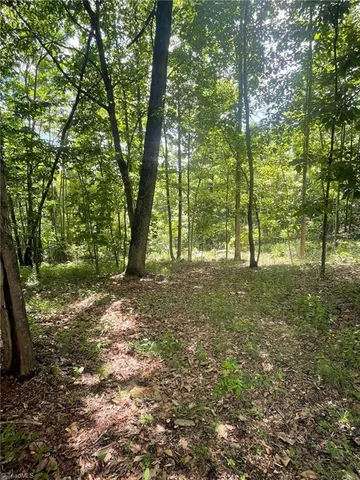 $87,900 | Lot 15 Dogwood Road, Moravian Falls, NC 28654