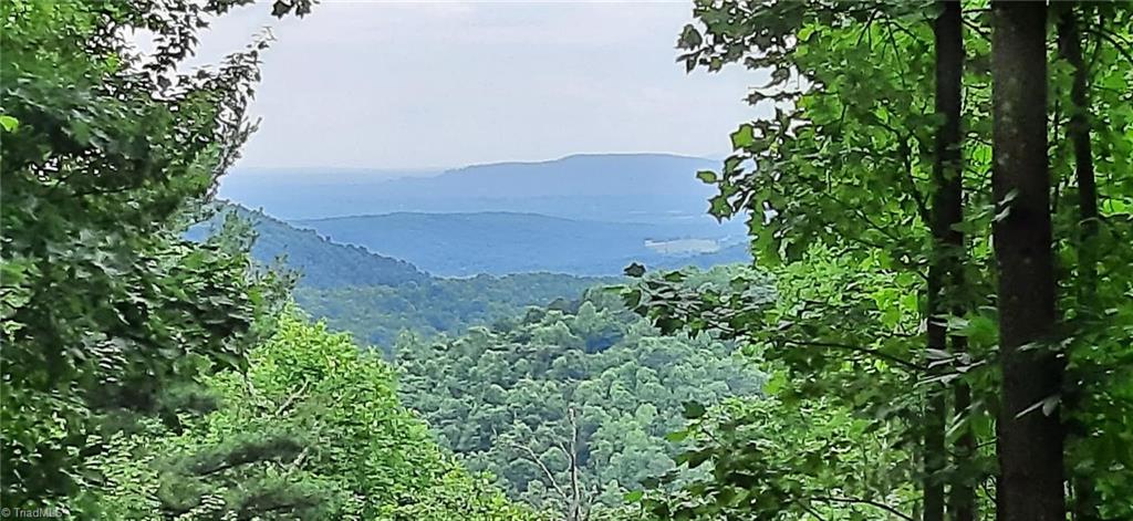 Lot 15 Dogwood Road Moravian Falls, NC 28654 - Photo 2 of 41