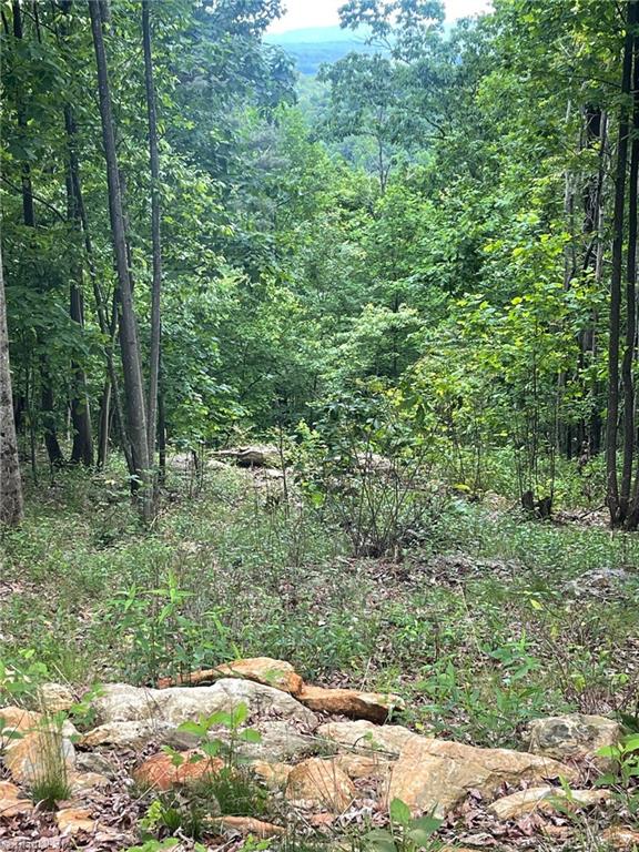Lot 15 Dogwood Road Moravian Falls, NC 28654 - Photo 26 of 41